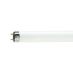 Philips TL-D 36W/54-765 1SL/25