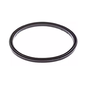 Seal Ring